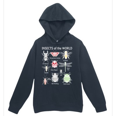 Insects Of The World Urban Pullover Hoodie