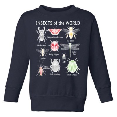 Insects Of The World Toddler Sweatshirt