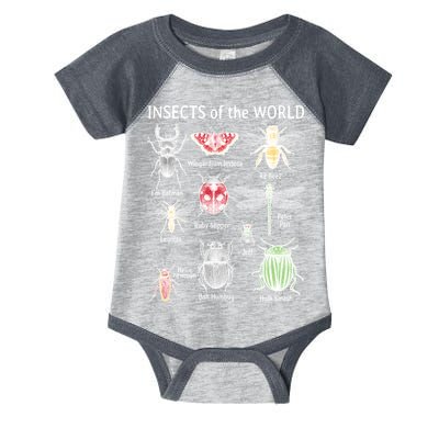 Insects Of The World Infant Baby Jersey Bodysuit