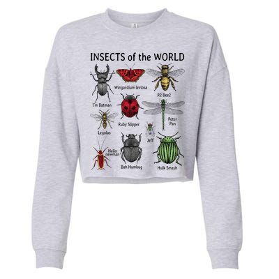 Insects Of The World Cropped Pullover Crew