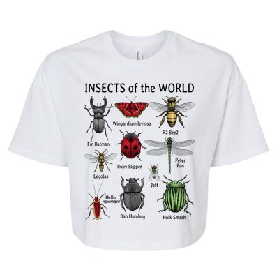 Insects Of The World Bella+Canvas Jersey Crop Tee