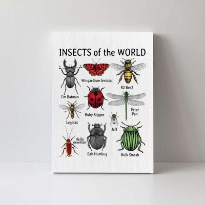 Insects Of The World Canvas