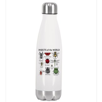 Insects Of The World Stainless Steel Insulated Water Bottle