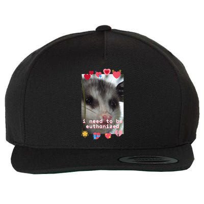 I Need To Be Euthanized Funny Opossum Dark Humor Meme Mental Wool Snapback Cap