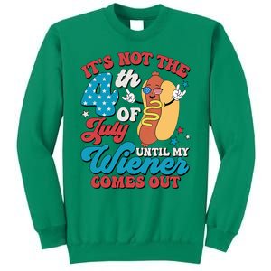 ItS Not The 4th Of July Until My Weiner Comes Out Dad Joke Sweatshirt