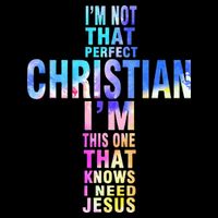Im Not That Perfect Christian I Know I Need Jesus 16 in Basic Backpack