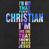 Im Not That Perfect Christian I Know I Need Jesus Hat