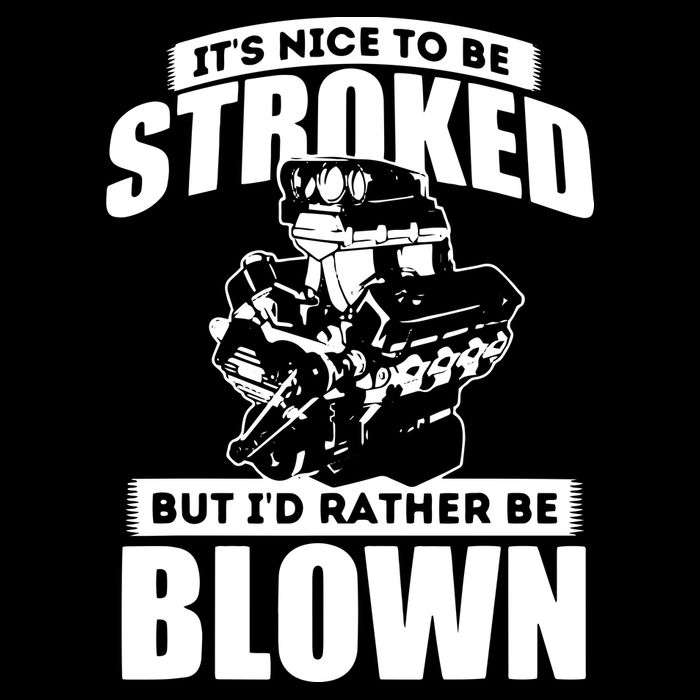 Its Nice To Be Stroked Funny Race Car Enthusiast Racing 16 in Basic Backpack