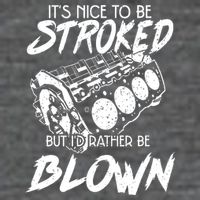 Its Nice To Be Stroked But Id Rather Be Blown Hoodie