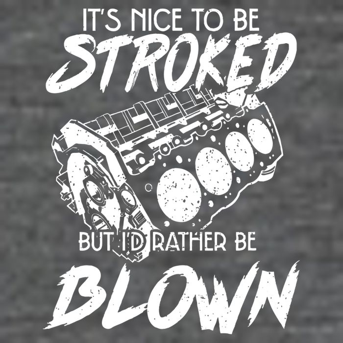 Its Nice To Be Stroked But Id Rather Be Blown Hoodie