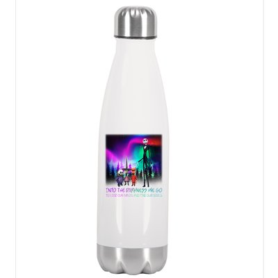 Into The Darkness We Go Stainless Steel Insulated Water Bottle