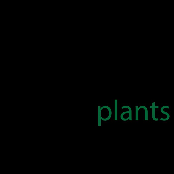 Introverted But Willing To Discuss Plants Mug