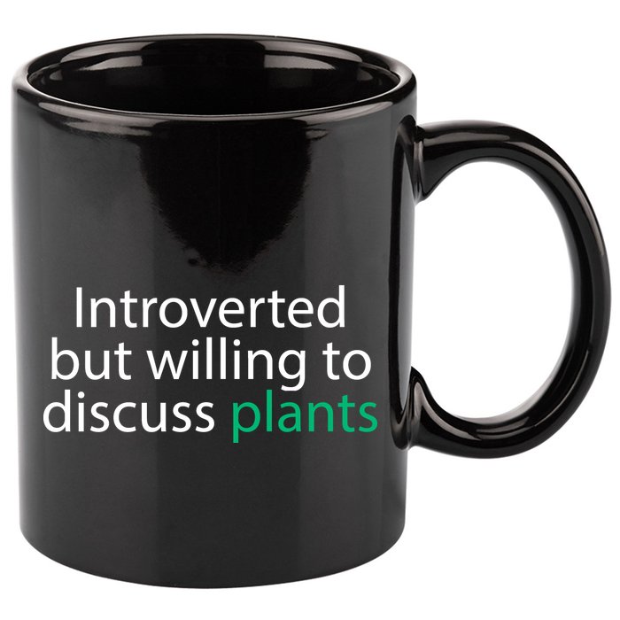 Introverted But Willing To Discuss Plants 11oz C Handle Ceramic Mug