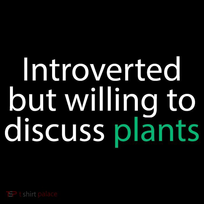 Introverted But Willing To Discuss Plants Sustainable Beanie