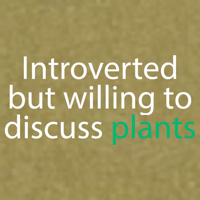 Introverted But Willing To Discuss Plants Garment-Dyed Women's Muscle Tee