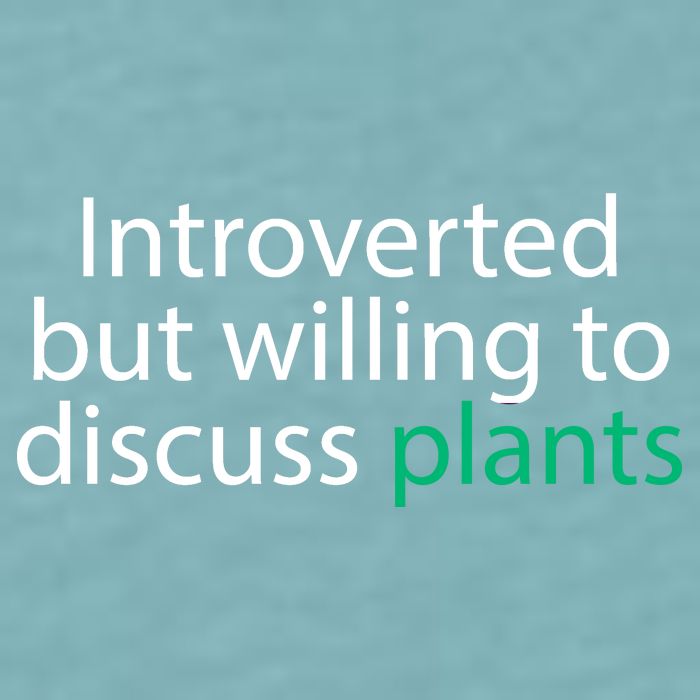 Introverted But Willing To Discuss Plants Sueded Cloud Jersey T-Shirt