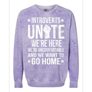 Introverts Unite Colorblast Crewneck Sweatshirt