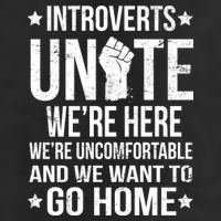 Introverts Unite Garment-Dyed Heavyweight T-Shirt