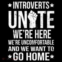 Introverts Unite Hoodie
