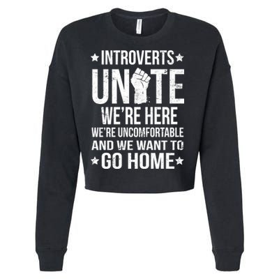 Introverts Unite Cropped Pullover Crew