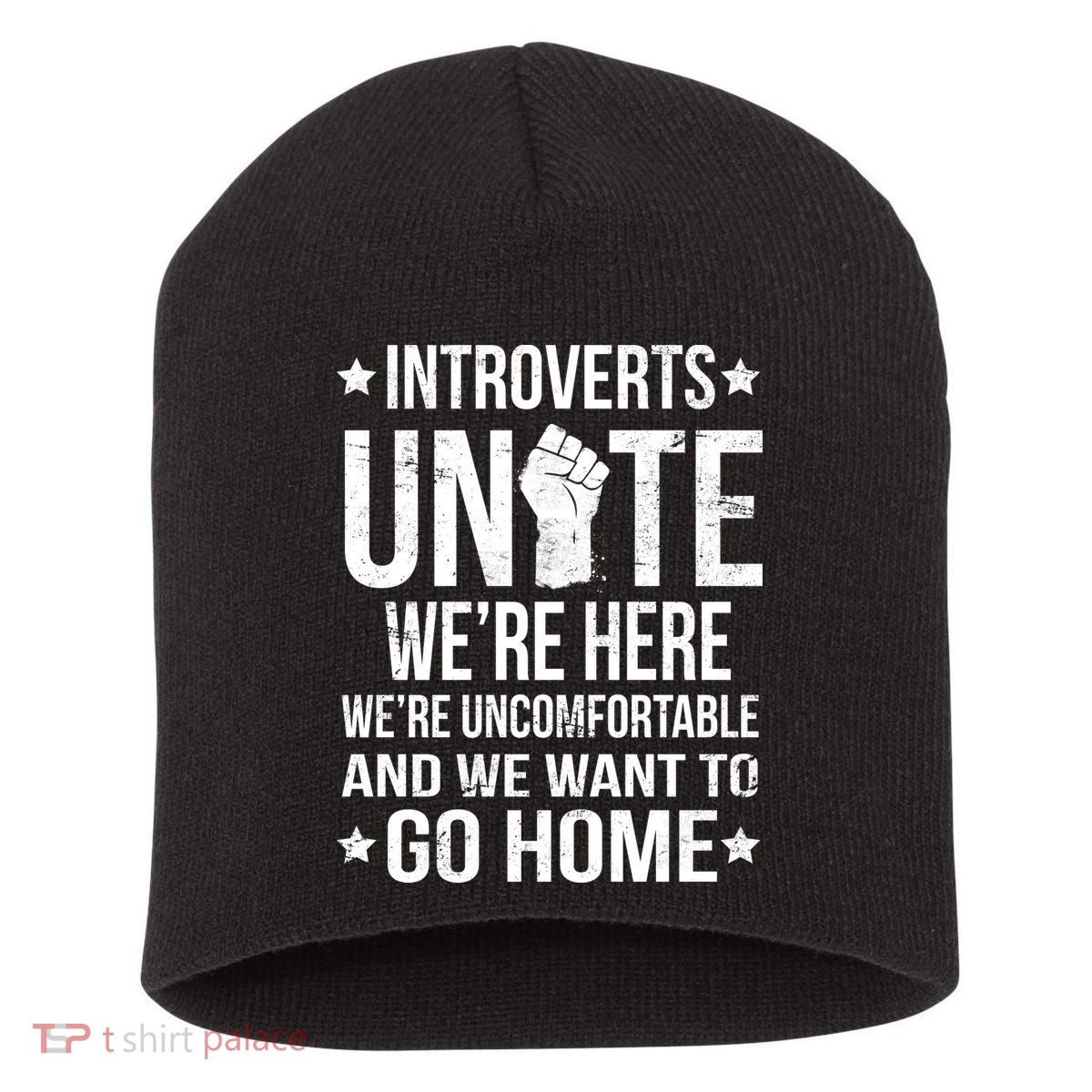 Introverts Unite Short Acrylic Beanie