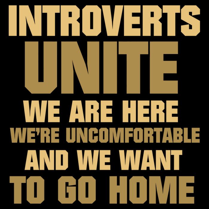 Introverts Unite We Want To Go Home Ladies Essential Flowy Tank
