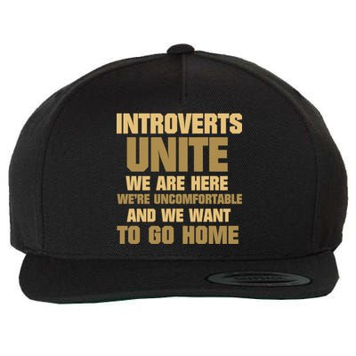 Introverts Unite We Want To Go Home Wool Snapback Cap