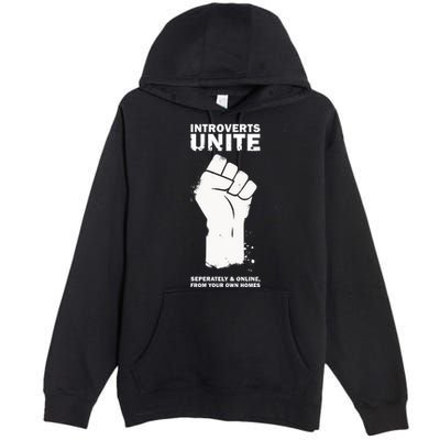 Introverts Unite Separately & Online Premium Pullover Hoodie