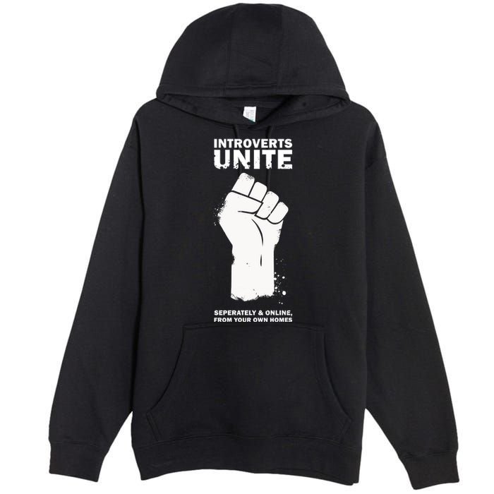 Introverts Unite Separately & Online Premium Pullover Hoodie