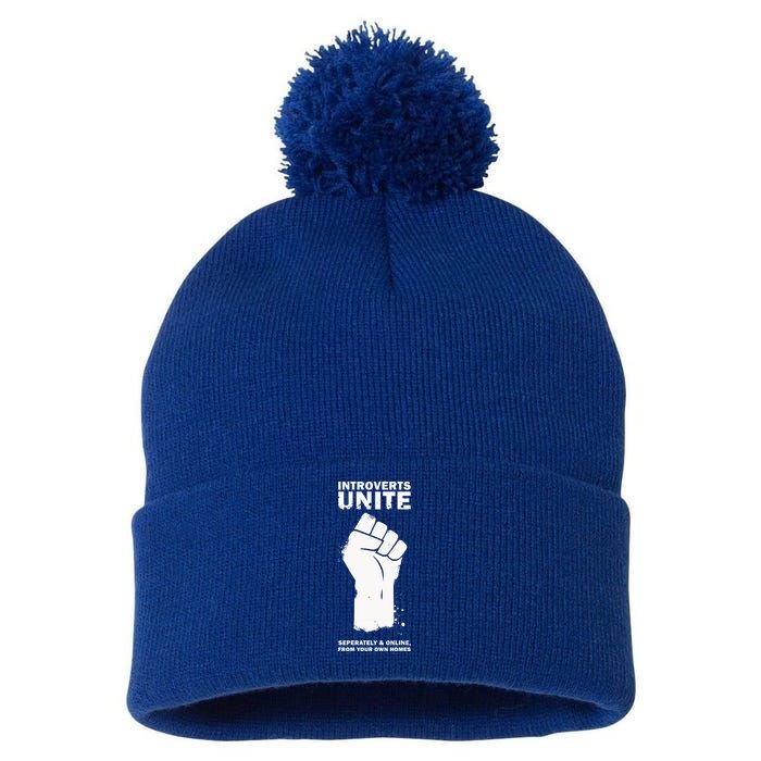 Introverts Unite Separately & Online Pom Pom 12in Knit Beanie