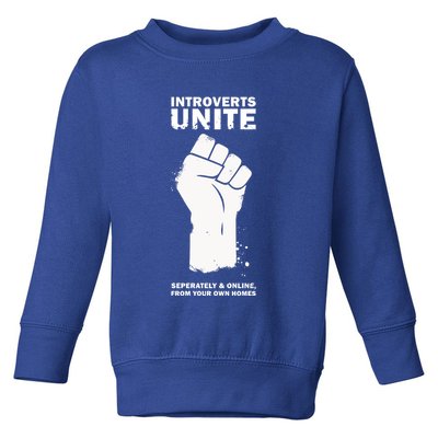 Introverts Unite Separately & Online Toddler Sweatshirt