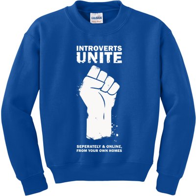 Introverts Unite Separately & Online Kids Sweatshirt