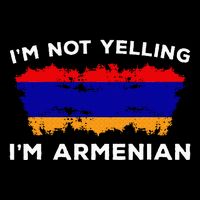 IM Not Yelling IM Armenian Humor Lover 7-Panel Snapback Hat