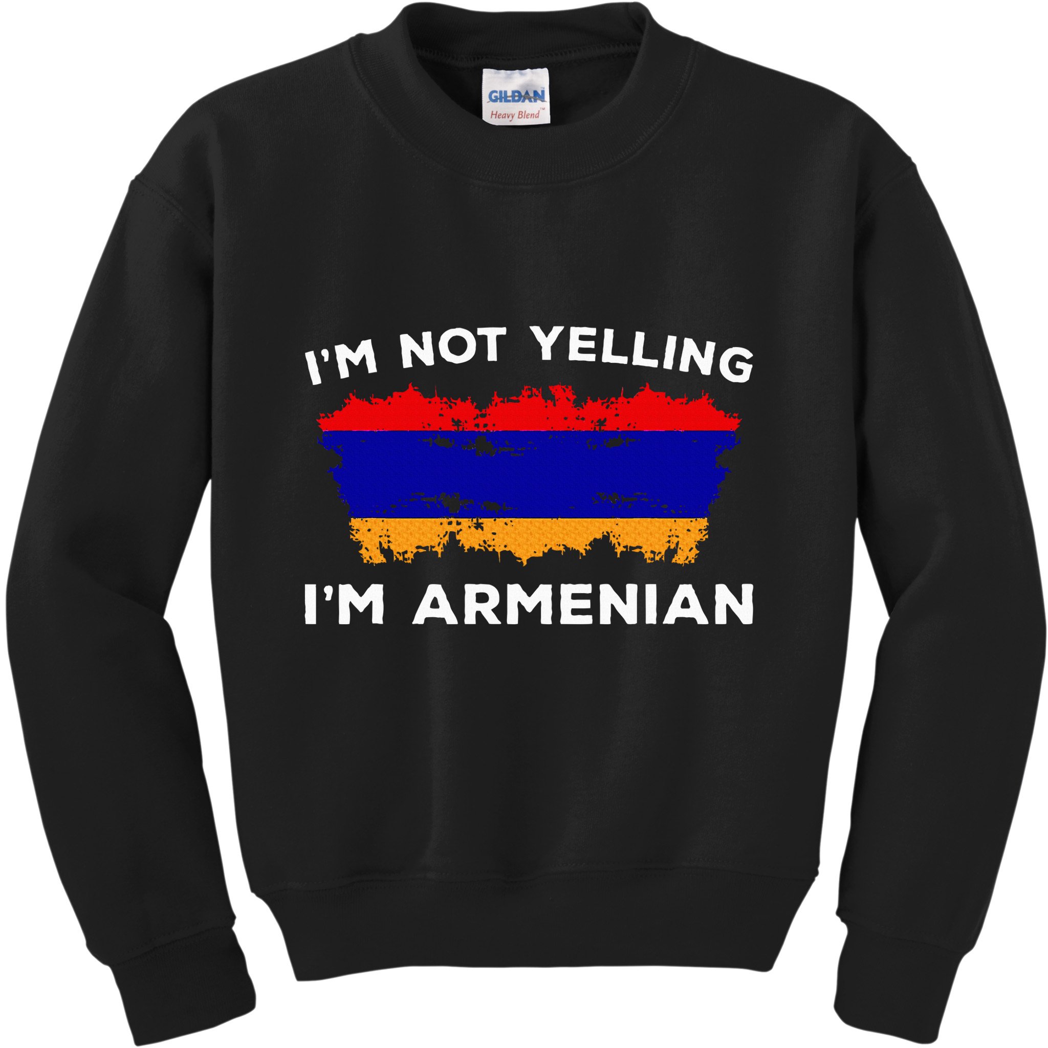IM Not Yelling IM Armenian Humor Lover Kids Sweatshirt