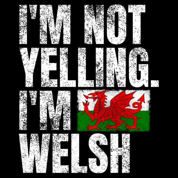 IM Not Yelling IM Welsh Quotes Graphic Funny Wales Meaningful Gift Cooling Performance Crew T-Shirt