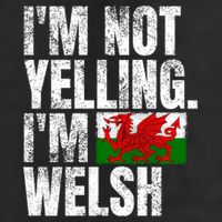 IM Not Yelling IM Welsh Quotes Graphic Funny Wales Meaningful Gift 11oz C Handle Ceramic Mug