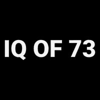 Iq Of 73 Human Intelligence Funny Iq Test Score Quote Backpack