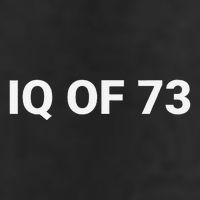 Iq Of 73 Human Intelligence Funny Iq Test Score Quote 25L Jumbo Tote