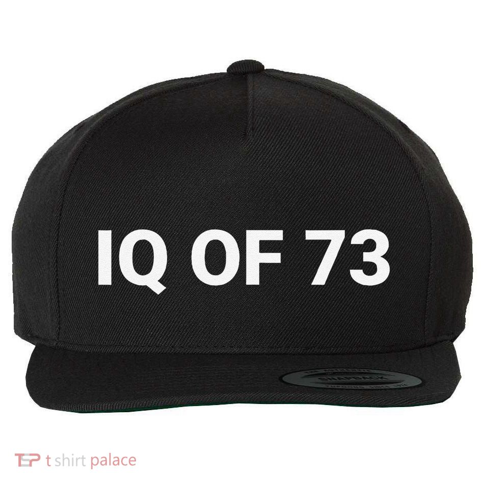 Iq Of 73 Human Intelligence Funny Iq Test Score Quote Wool Snapback Cap