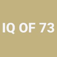 Iq Of 73 Human Intelligence Funny Iq Test Score Quote Magnet