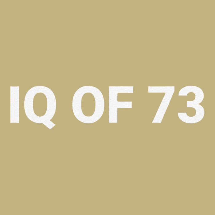 Iq Of 73 Human Intelligence Funny Iq Test Score Quote Magnet