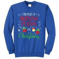 IM Only A Morning Person On Christmas Funny Gift Holiday Quotes Cute Gift Sweatshirt