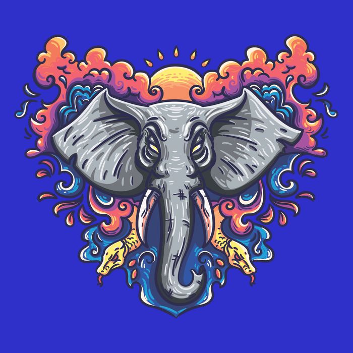 Illustration Of An Elephant Sunrise 16 in Basic Backpack