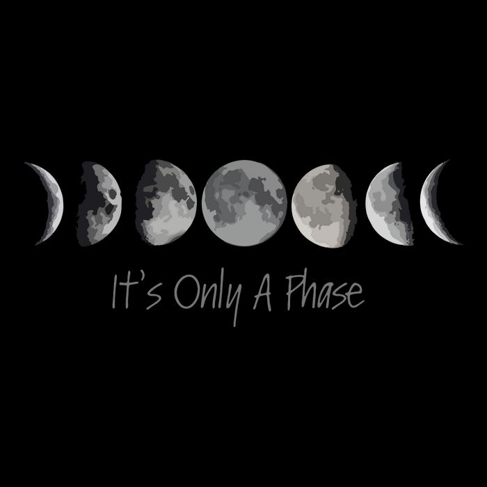 Its Only A Phase All The Phases Of The Moon 16oz Travel Tumbler