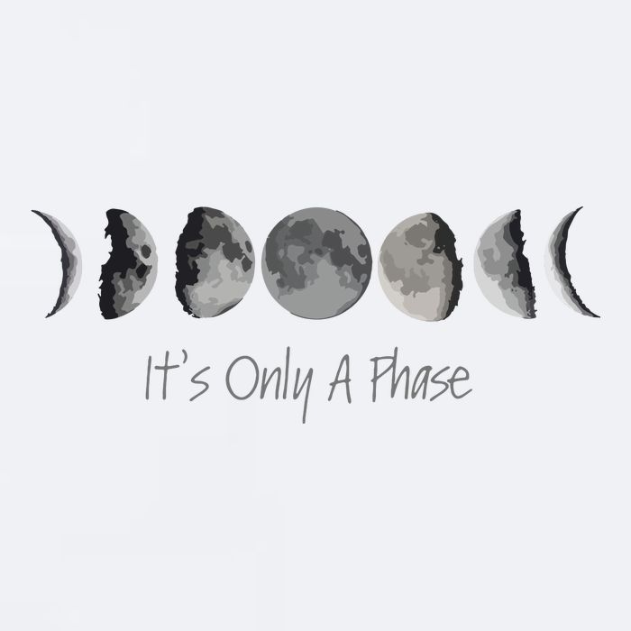 Its Only A Phase All The Phases Of The Moon Sueded Cloud Jersey T-Shirt