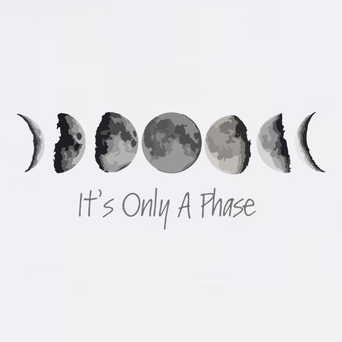 Its Only A Phase All The Phases Of The Moon Poster