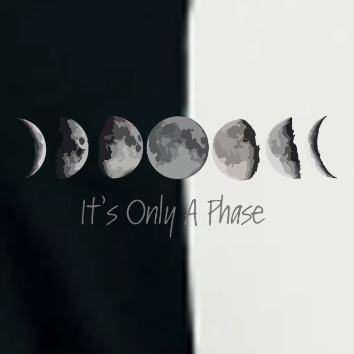 Its Only A Phase All The Phases Of The Moon Infant Baby Jersey Bodysuit