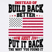 Instead Of Build Back Better How About Just Put It Back USA Button