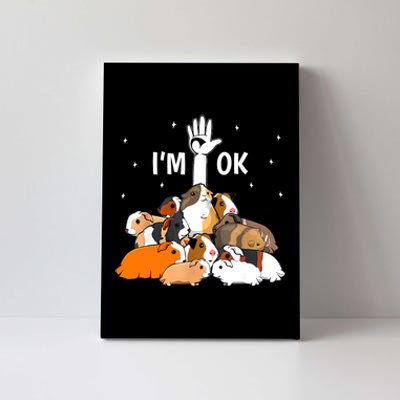 I’m Ok Funny Guinea Pigs Lover Canvas