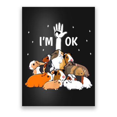 I’m Ok Funny Guinea Pigs Lover Poster